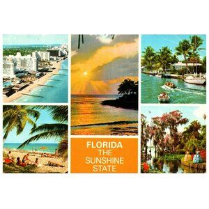 Postcard 1980 Florida The Sunshine State Beautiful Florida Vintage advertising